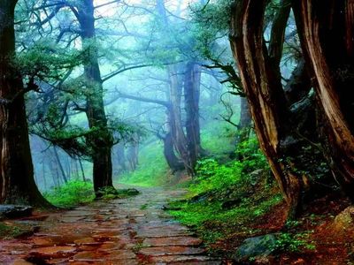 Ancient Shu Road.jpg