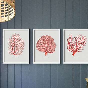 Suggested Header 2000px Beach House Art, Set of 3 Red Coral Prints  Coral Paintings 12 and 3  White Frame, £147, 8603013.jpg