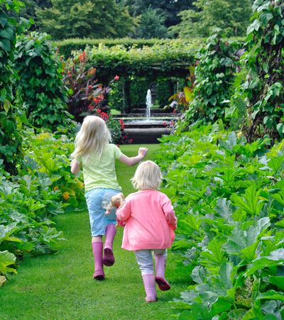 Children at Levens Hall and Gardens, Cumbria, 