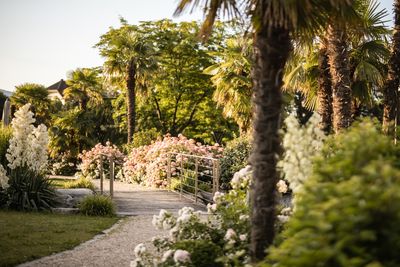 Alpiana_Garden2.jpg