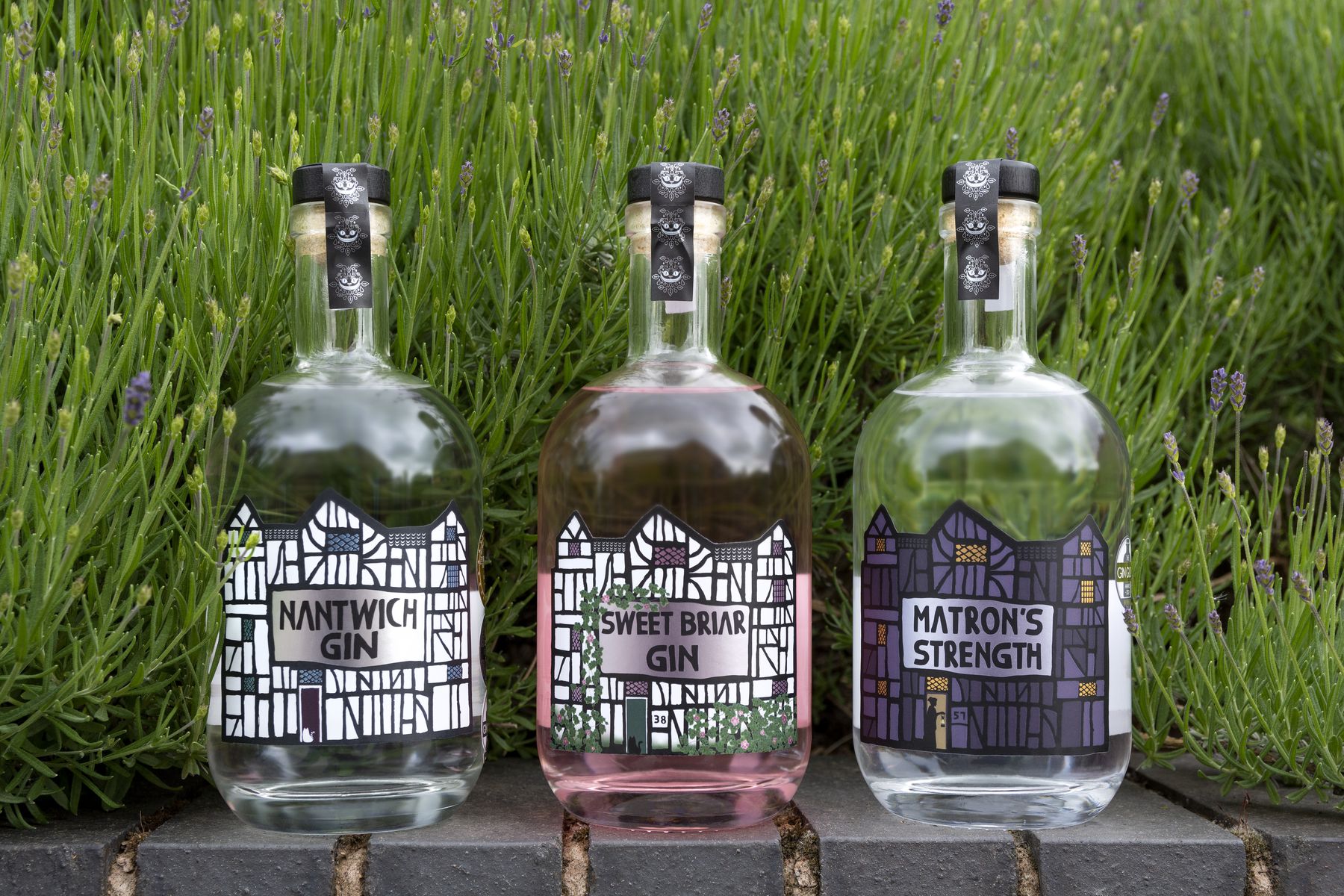 The full Nantwich Gin family