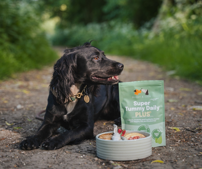 Buddy & Lola, Super Tummy Daily Plus, Pre, Pro & Postbiotics for dogs 