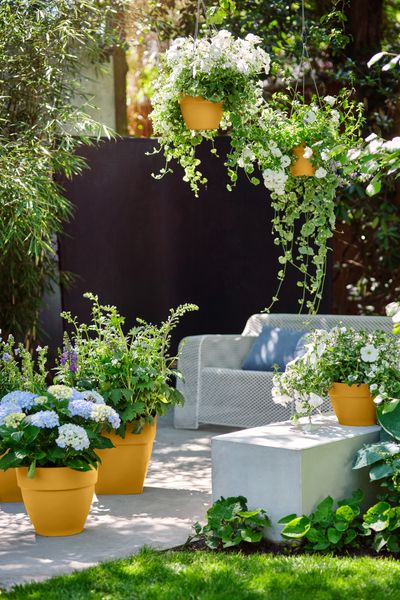 Vibia campana collection honey yellow