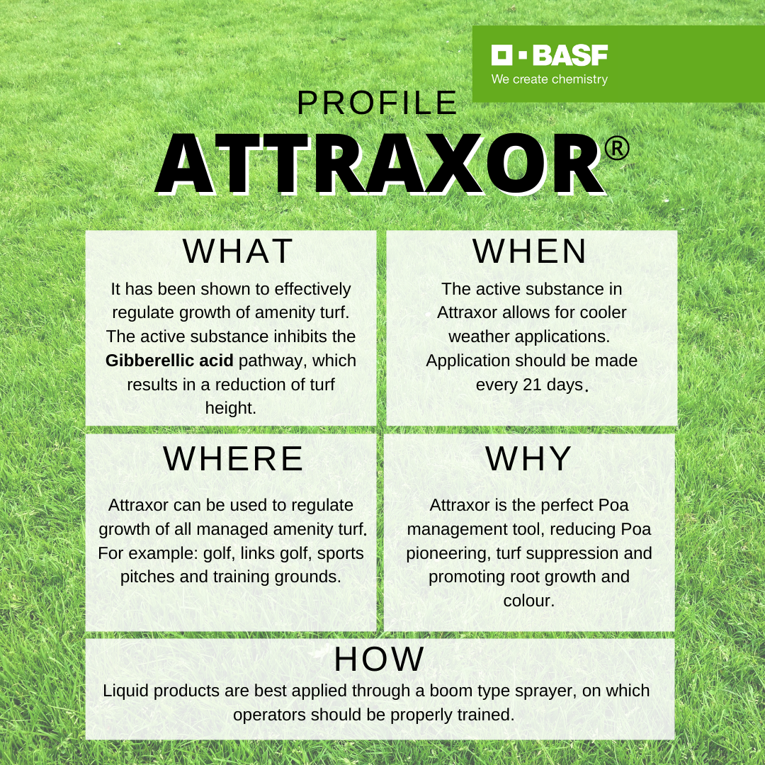 Attraxor profile