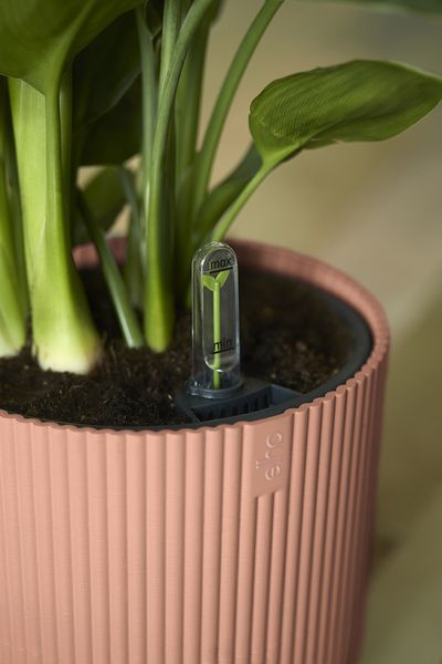 Vibes fold round with self-watering insert