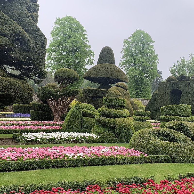 Levens Hall's topiary garden looking resplendent on World Topiary Day 2023