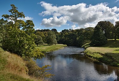 Levens Deer Park, by Levens Hall and Gardens, Cumbria