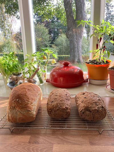 1 white loaf and 2 granary.jpg