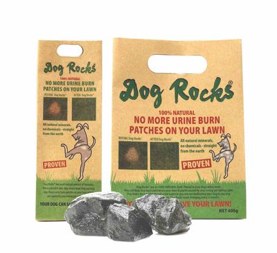 Dog Rocks Bulk & Single Bag.jpg