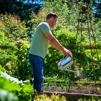 Gardener watering crops