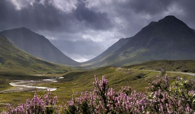 Glencoe 