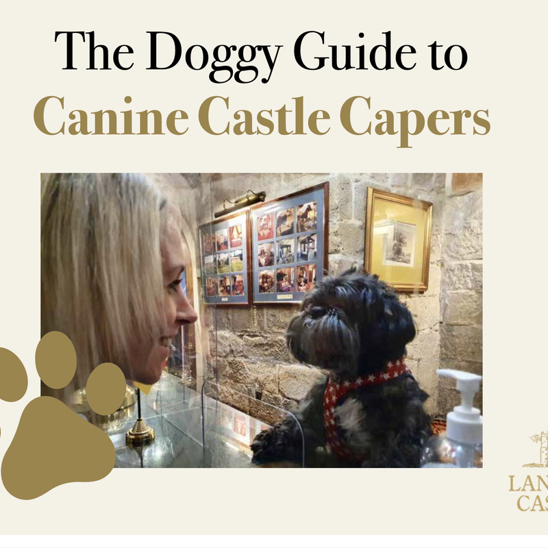 Front cover of Langley Castle's 'Doggy Guide to Castle Capers'