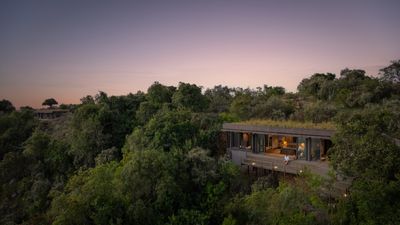 Silverless The Wild Hill_010.jpg