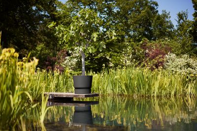 greenville XXL - 55cm pot modern black