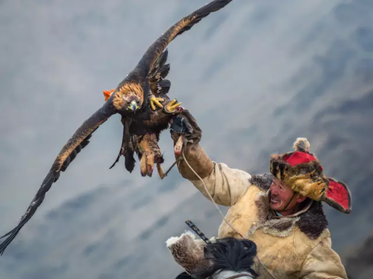 Altai Golden Eagle Festival Mongolia.png