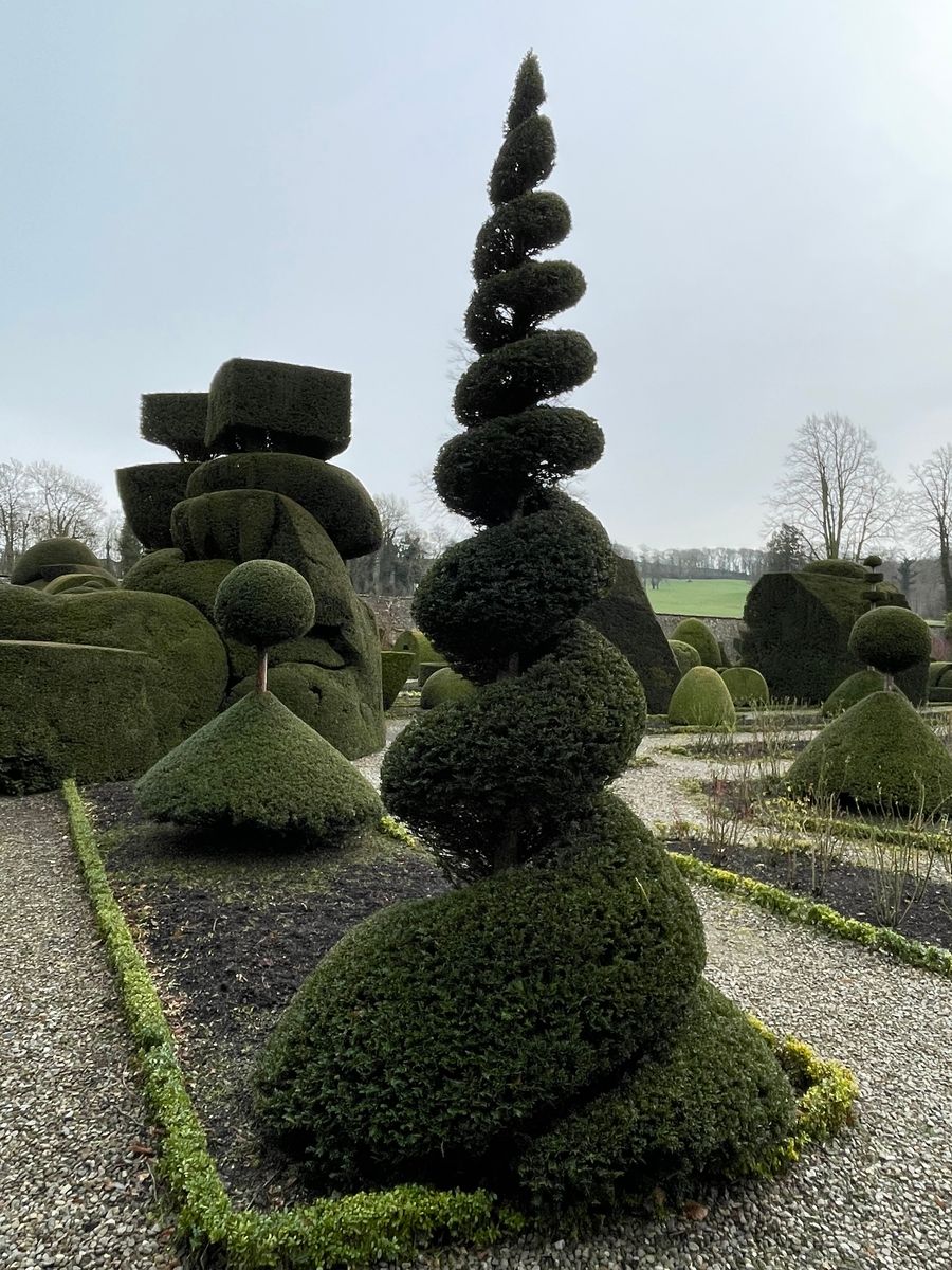 Topiary spiral in the topiary garden at Levens Hall and Gardens, Cumbria