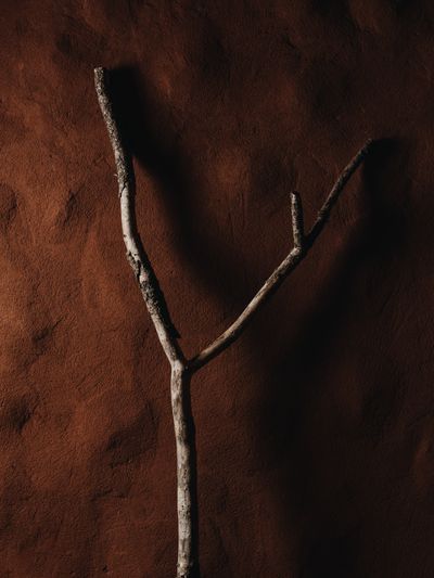 YERA-Details-1©Charlotte Lapalus-FORESTIS (27).jpg