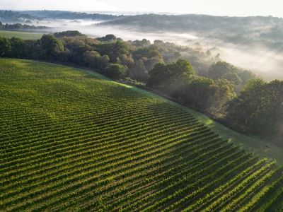 Leonardslee Family Vineyards.jpg