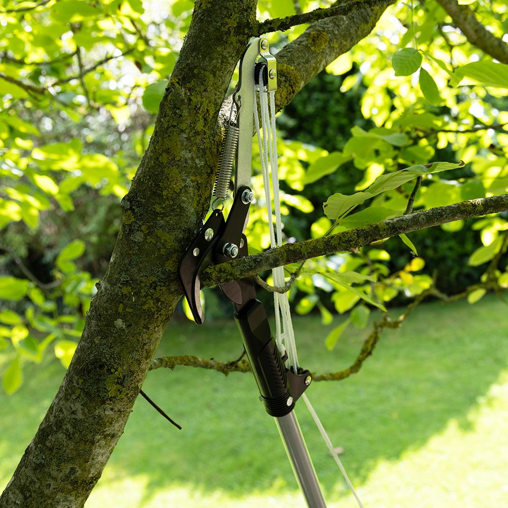 Telescopic Tree Cutter
