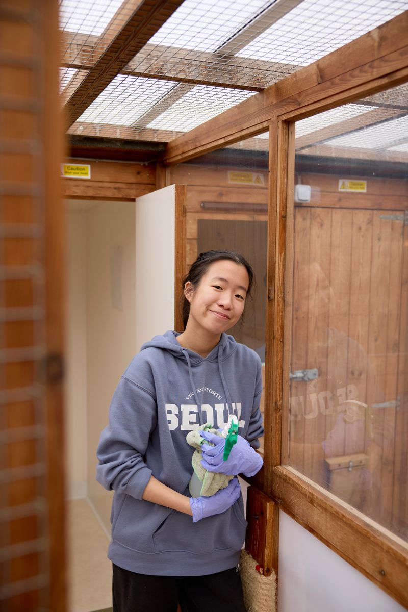 Moulton College student Anna is on work experience at Cloverlea Cattery