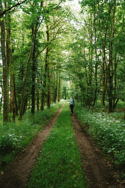 Lee-Trail-Day-1-JDJ17-©Jochem-de-Jong.jpg