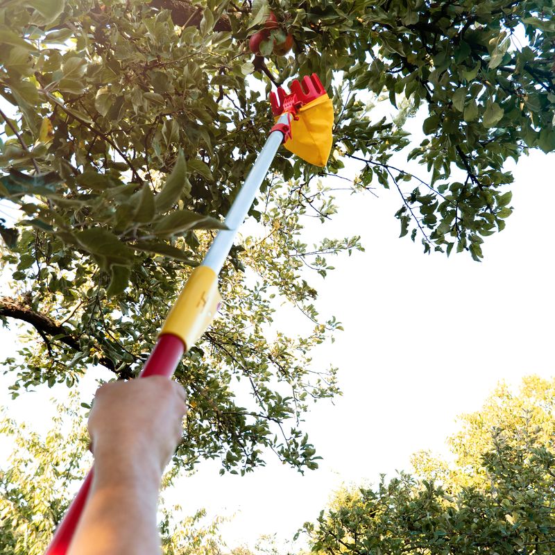 WOLF-Garten Multi-change Adjustable Fruit Picker