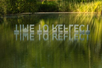 Time to Reflect by Simon Gudgeon - Sculpture by the Lakes.jpg
