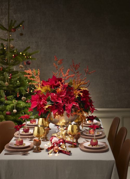 2023_poinsettia_01000_Jewels_of_Nature_02.jpg