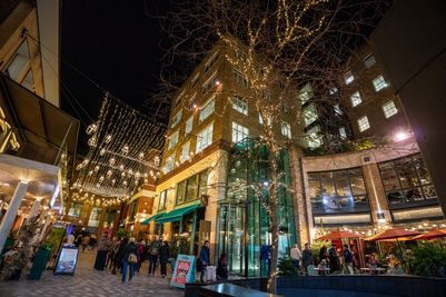 PinPep_TheYardsXmasLights_SJ_195.JPG
