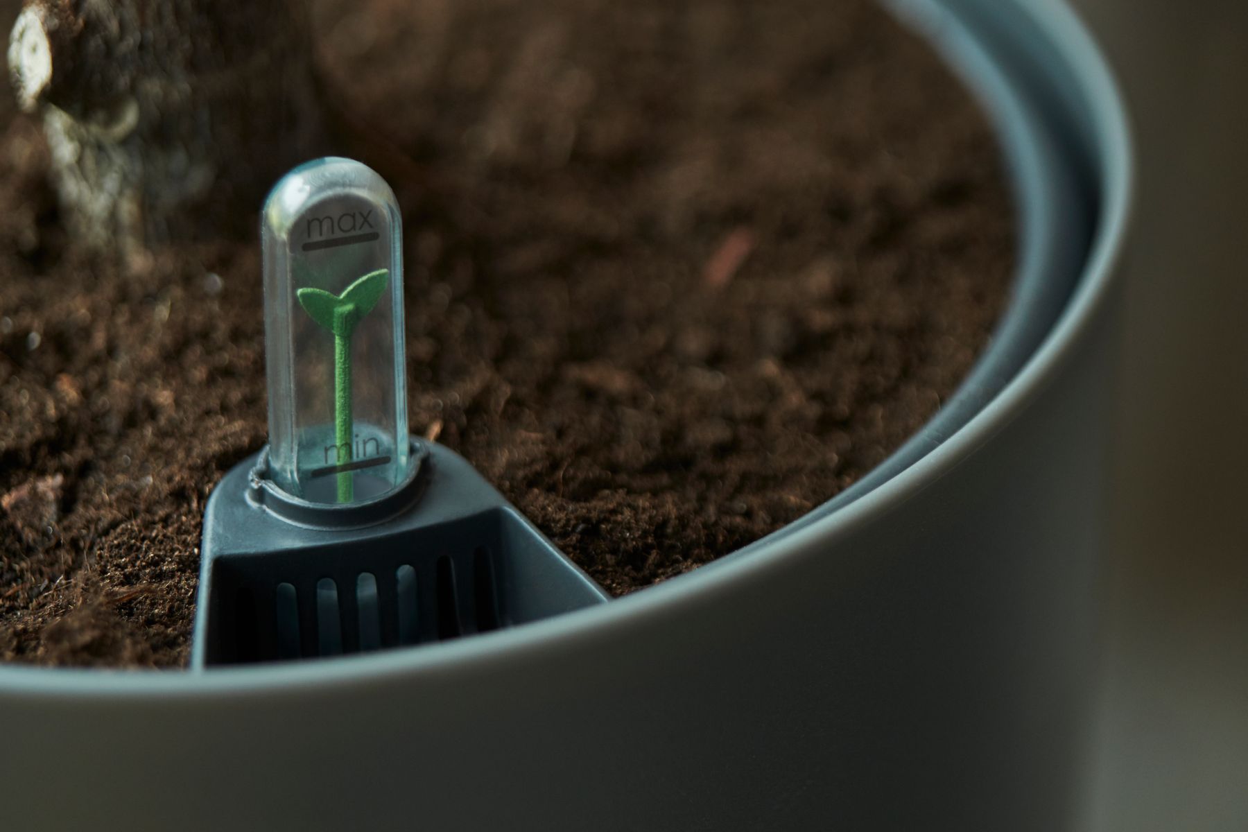 self-watering insert