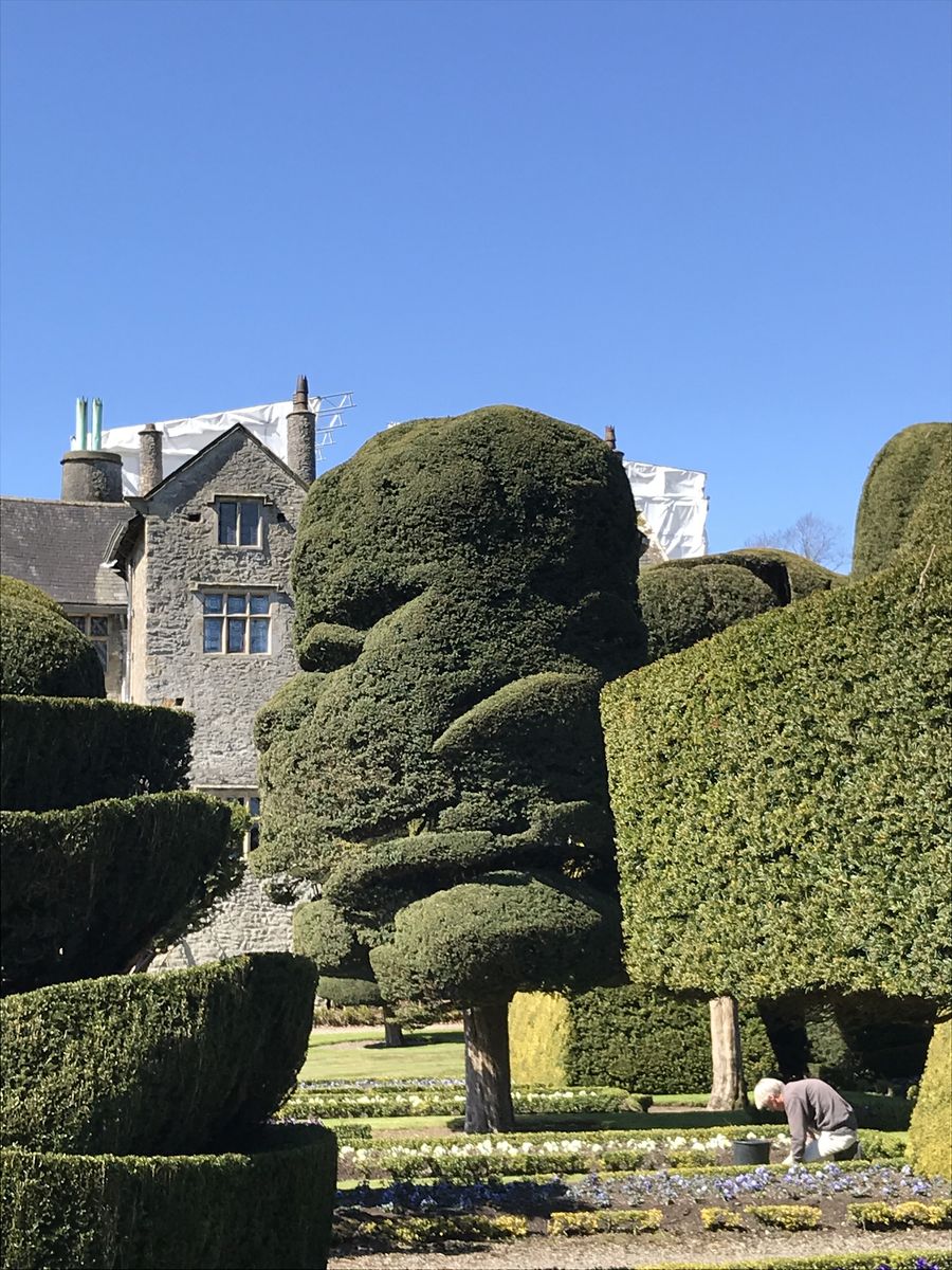 Topiary at Levens Hall, Cumbria, UK