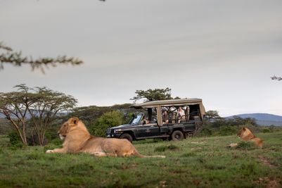 Kenya - Hemingways Ol Seki, Game drive experience.jpg