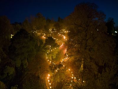 Glow Wild at Wakehurst