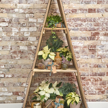 2022_poinsettia_02000_Urban_Loft_Christmas_16.jpg