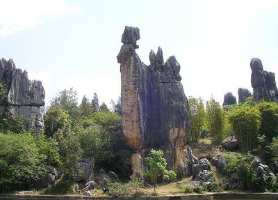Stone Forest (5).jpg
