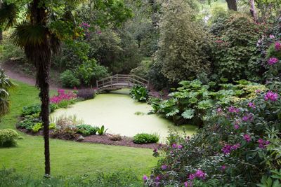 Hole Park