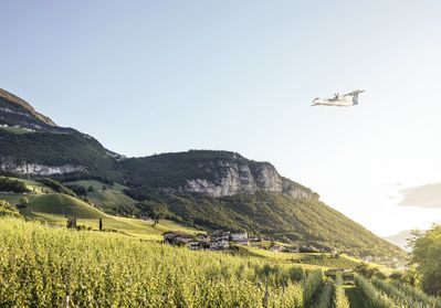 Direct Flight_SkyAlps (2).jpg