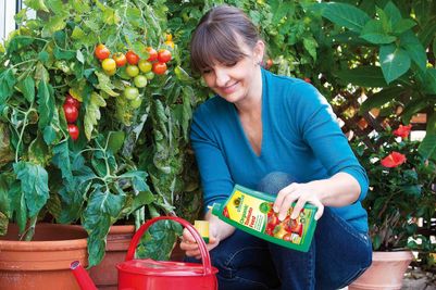 Neudorff Organic Tomato Feed.jpg