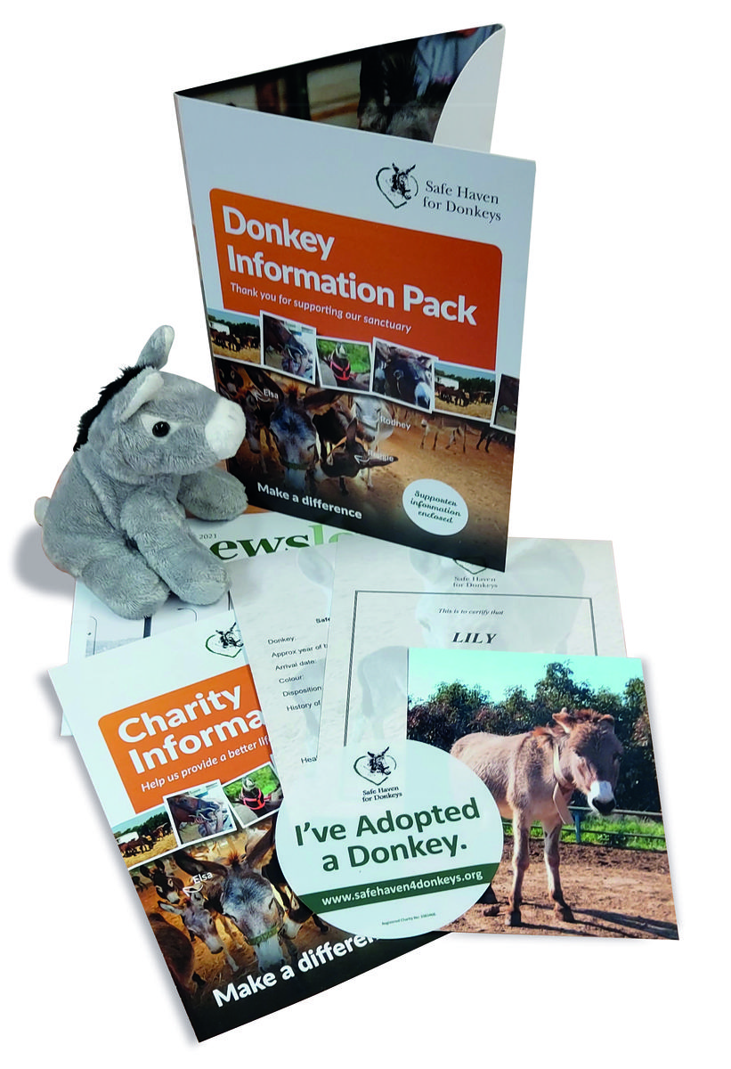 high res donkey gift .jpeg