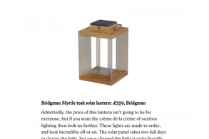 Screencapture of The Independent