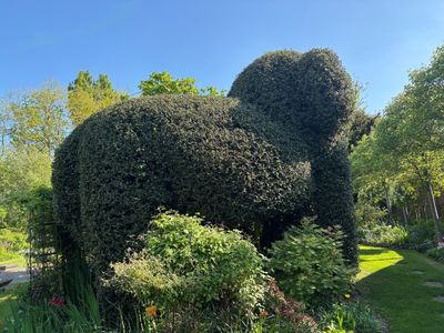 Angela Hawkins - Second Place in UK Home Gardener Category