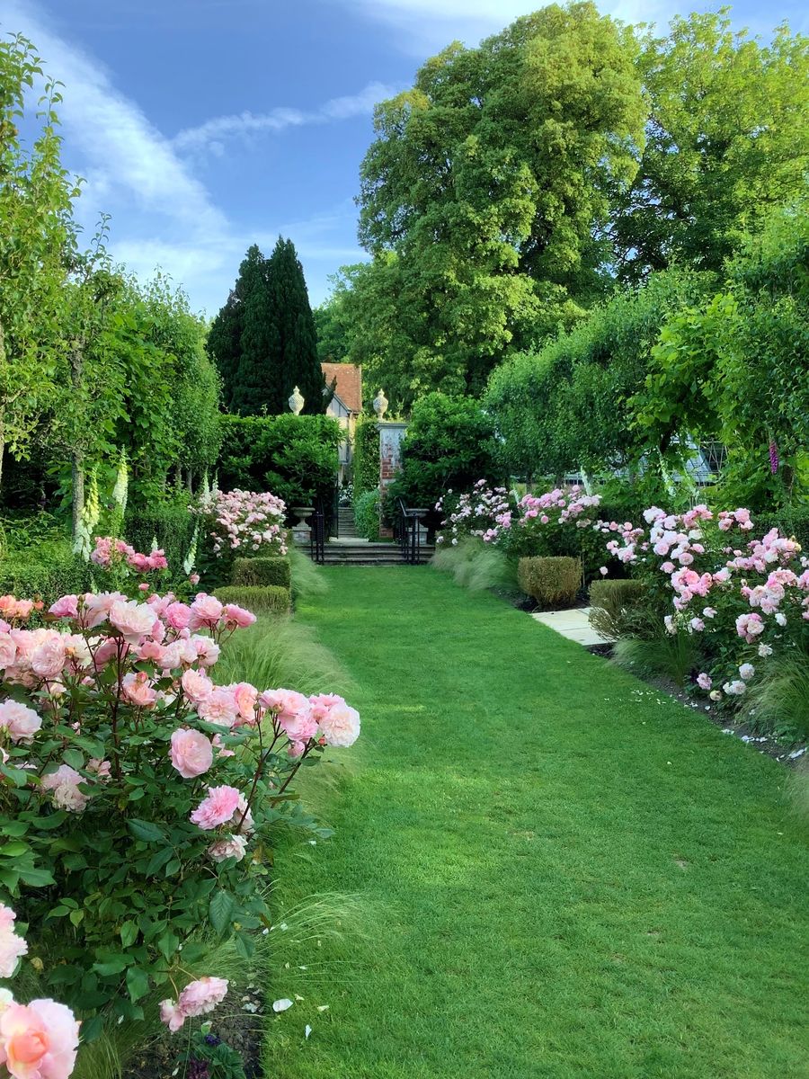 Pashley Manor Gardens - Rose Walk