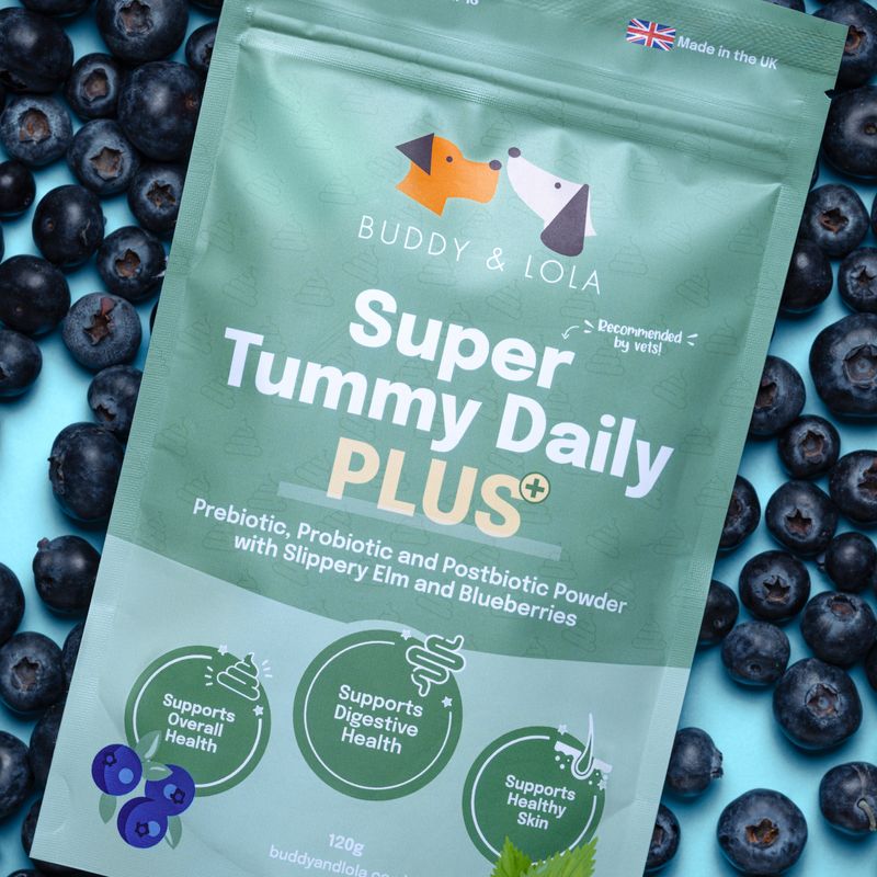 Buddy & Lola - Super Tummy Daily Plus, Pre, Pro & Postbiotics for dogs 
