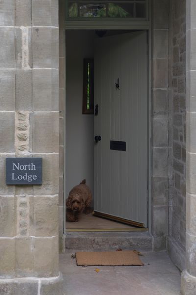 Button at North Lodge, Milne Graden_Dogs (8).jpg