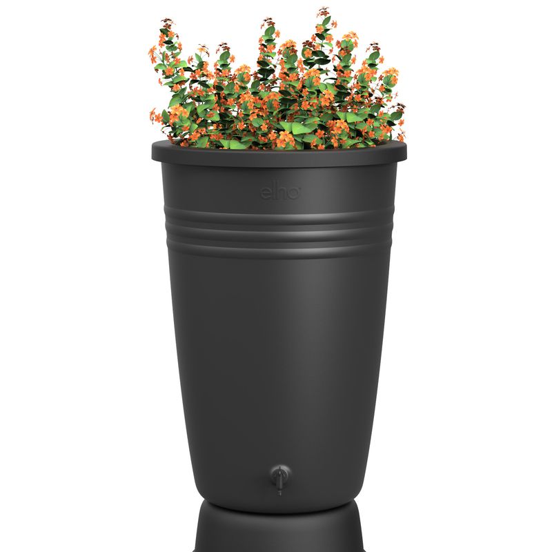 green basics rainbarrel plus 200ltr living black
