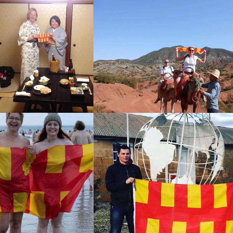 Montage of past entries in the Northumberland Day Flag Competition