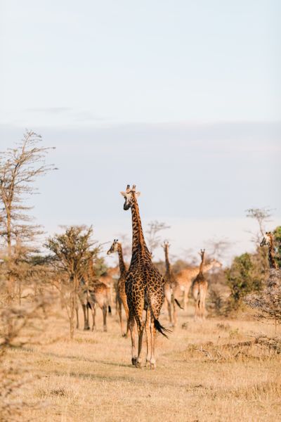Kin Travel Kenya_Valorie Darling Photography_ID3A1392-2.jpg