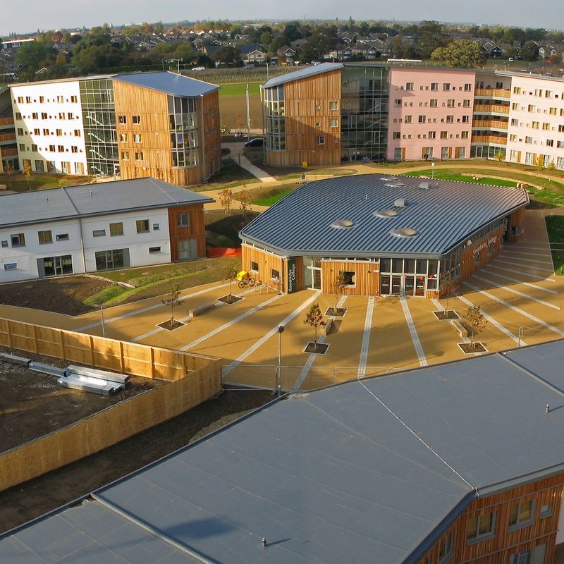 York University