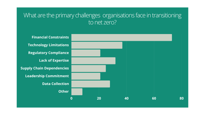 TEAM-Organisational-Challenges-with-Net-Zero