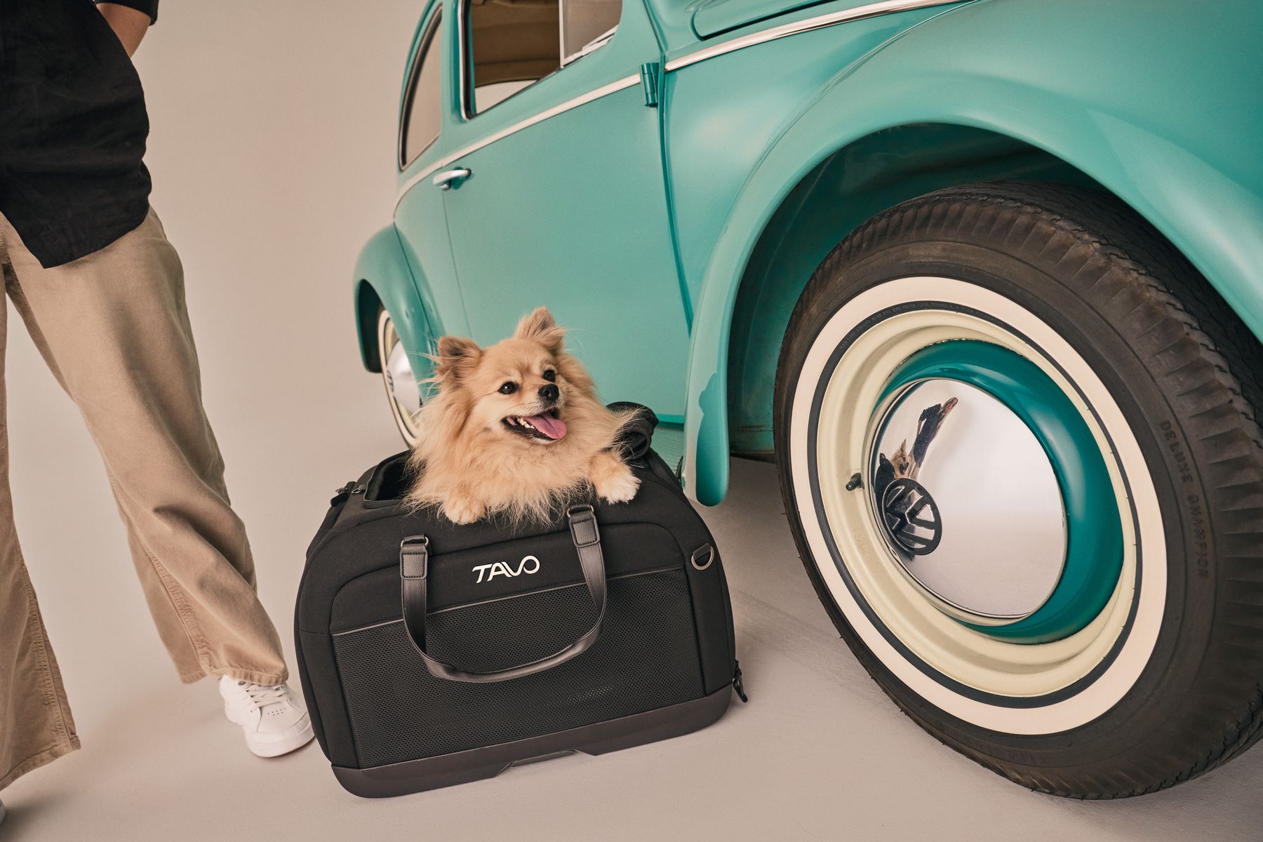 Hendrick Pet Car Seat & Carrier